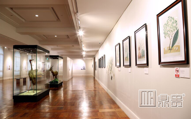 河南博物馆展柜生产厂家