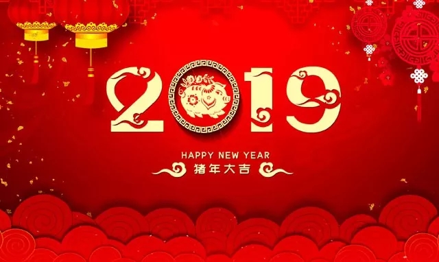 2019猪年的.webp
