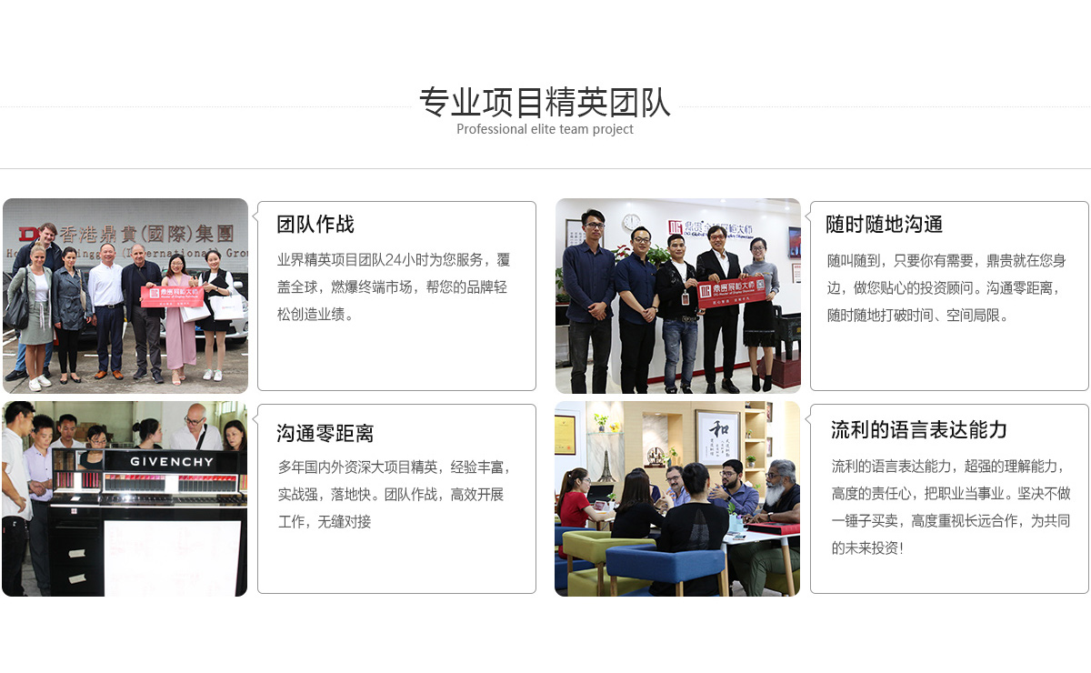 专业项目精英团队